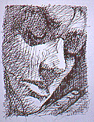 feypaintb.JPG (44442 bytes)