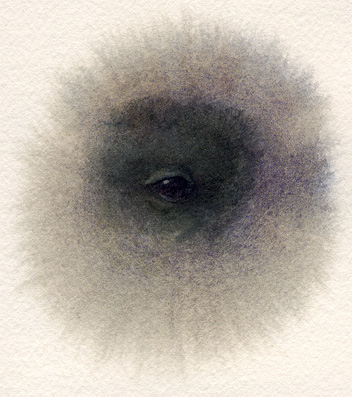 lgfeyeye.jpg (64818 bytes)