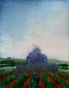 csrhot1.jpg (16614 bytes)