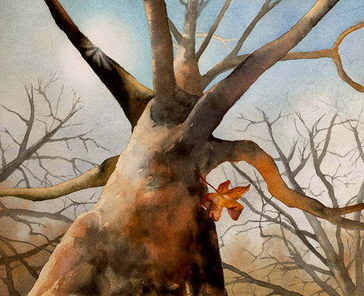 lg_rhots_bigtree.JPG (122061 bytes)