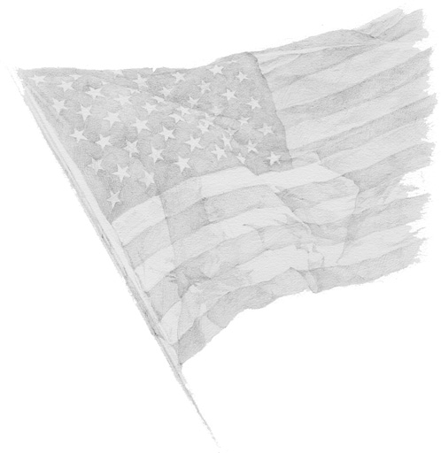 lg_rhots_p_flag2.JPG (45496 bytes)