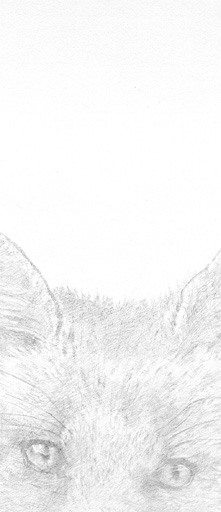 lg_rhots_p_fox.JPG (28916 bytes)